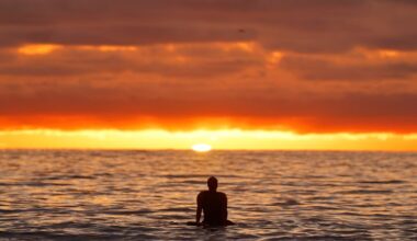 If August felt like the hottest month on Earth … you’re right