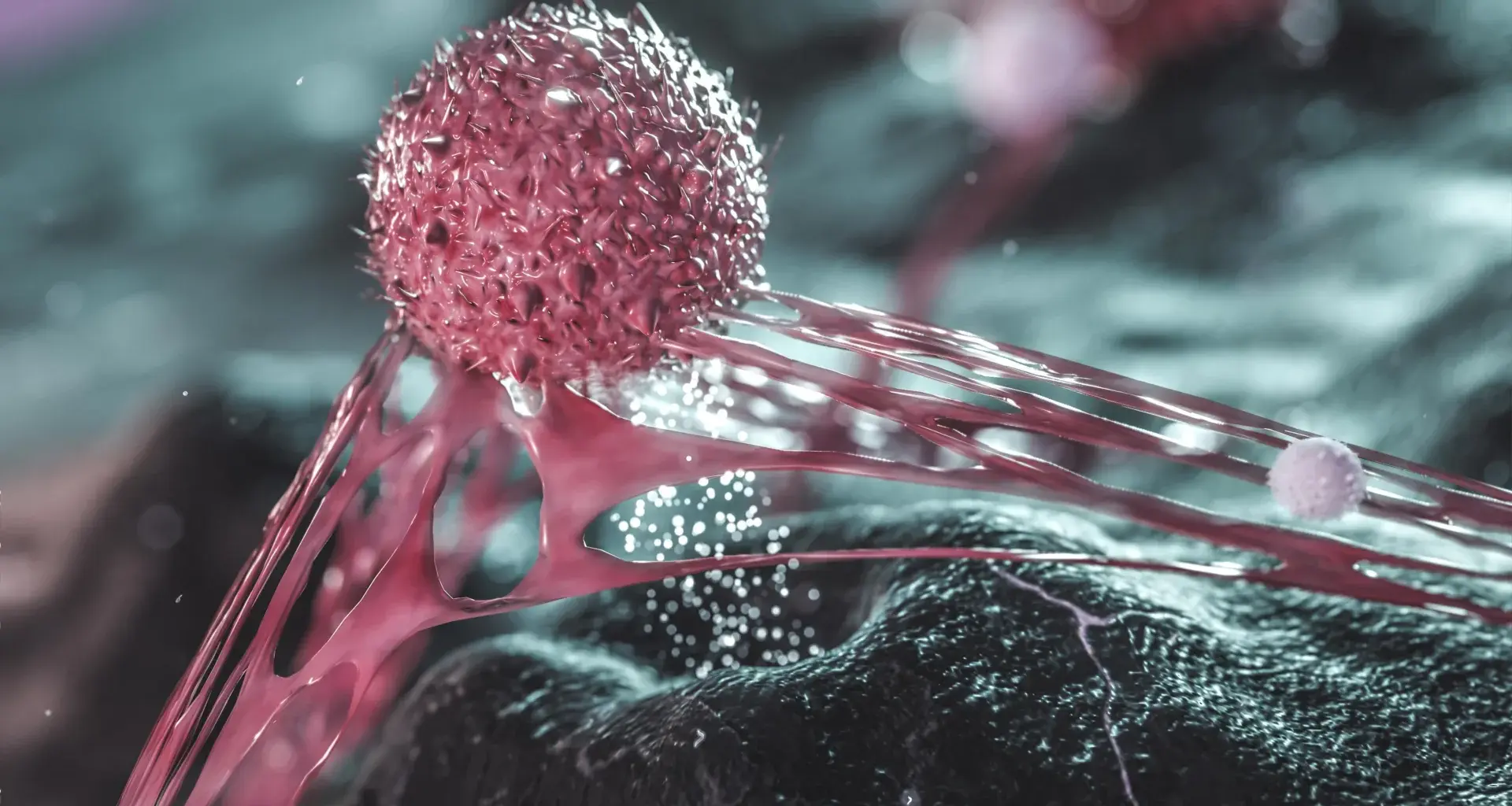 Scientists find breast cancer cells hiding behind protective “shields”