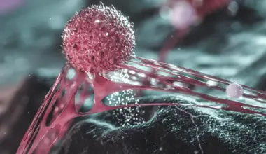 Scientists find breast cancer cells hiding behind protective “shields”
