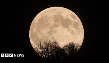 The November full moon shines bright white in a black sky, with the outline of tree branches in the foreground.