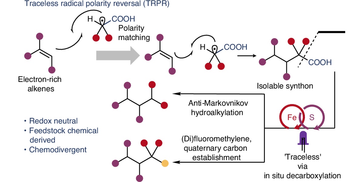 Adding Methyl Groups Gets Easier with Iron and Light