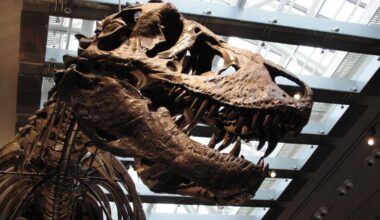 Fossil tooth analysis confirms Tyrannosaurus rex was warm-blooded