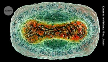 AlphaFold 'goes viral': database adds protein complexes of common viruses