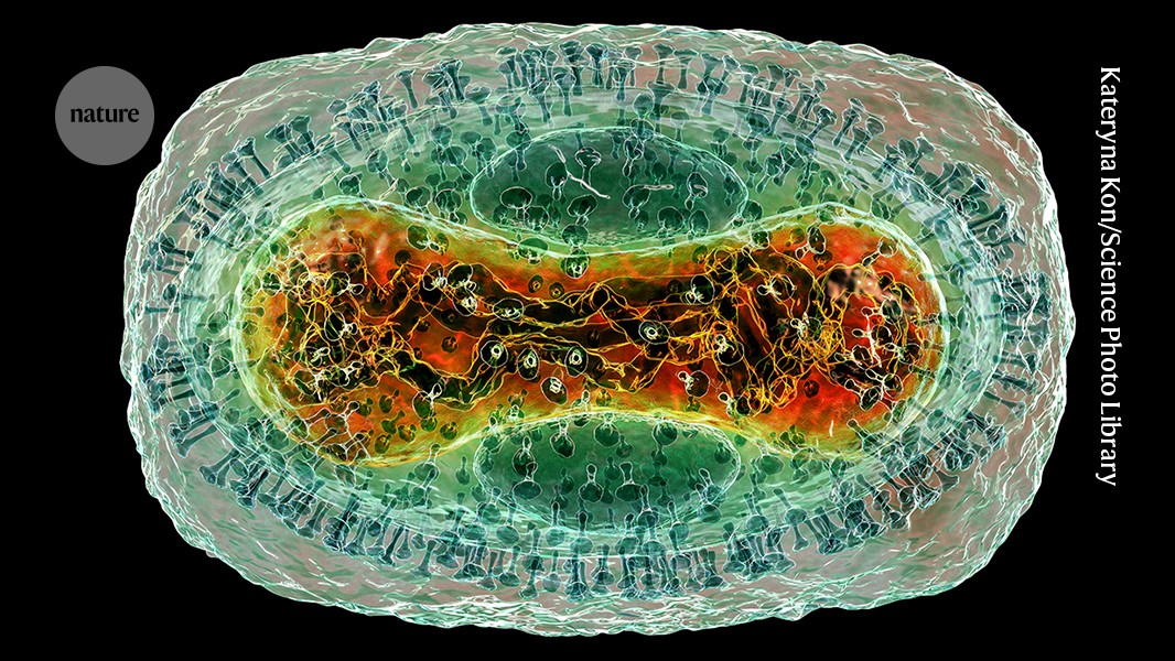 AlphaFold 'goes viral': database adds protein complexes of common viruses