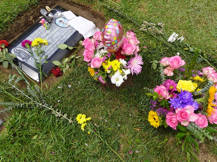 sub-celeste-rivas-grave-backgrid-1
