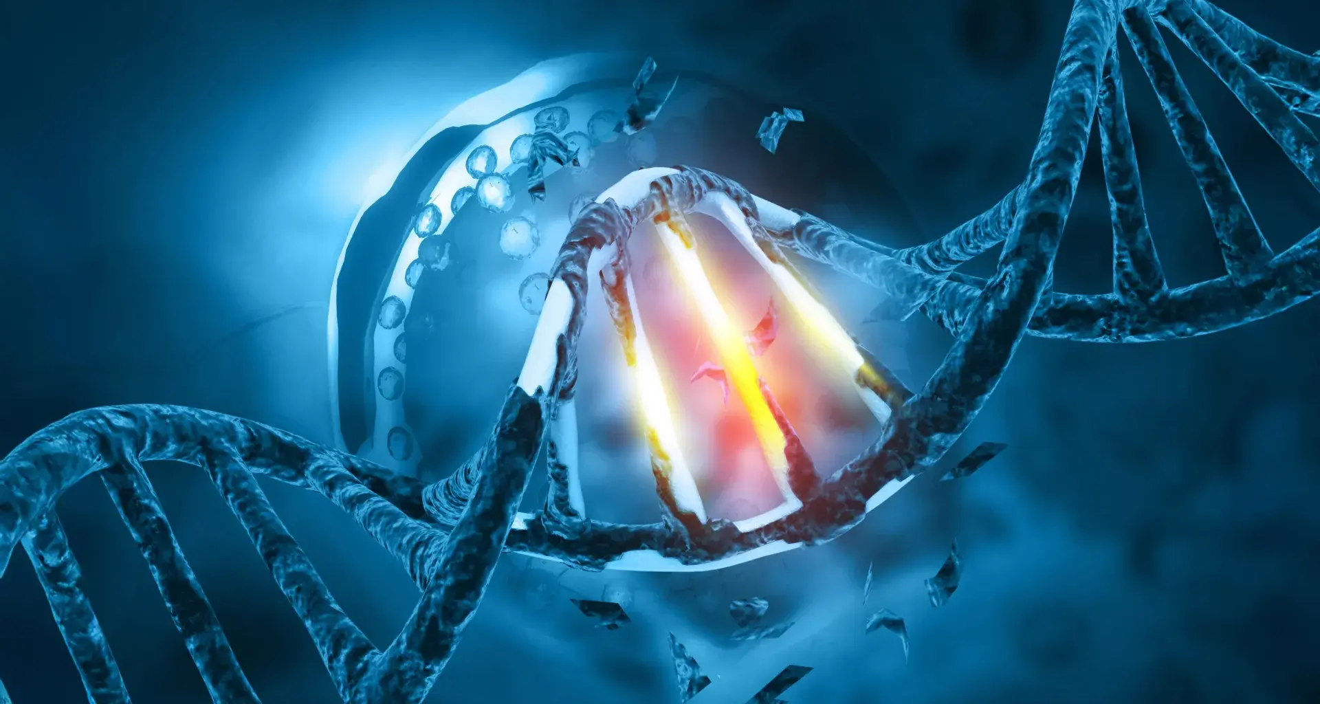 Popular sweetener byproduct damages DNA in human cells