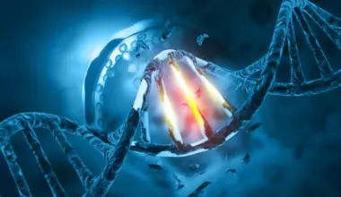 Popular sweetener byproduct damages DNA in human cells