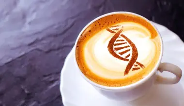 Caffeine may flip an ancient cellular switch linked to slower aging