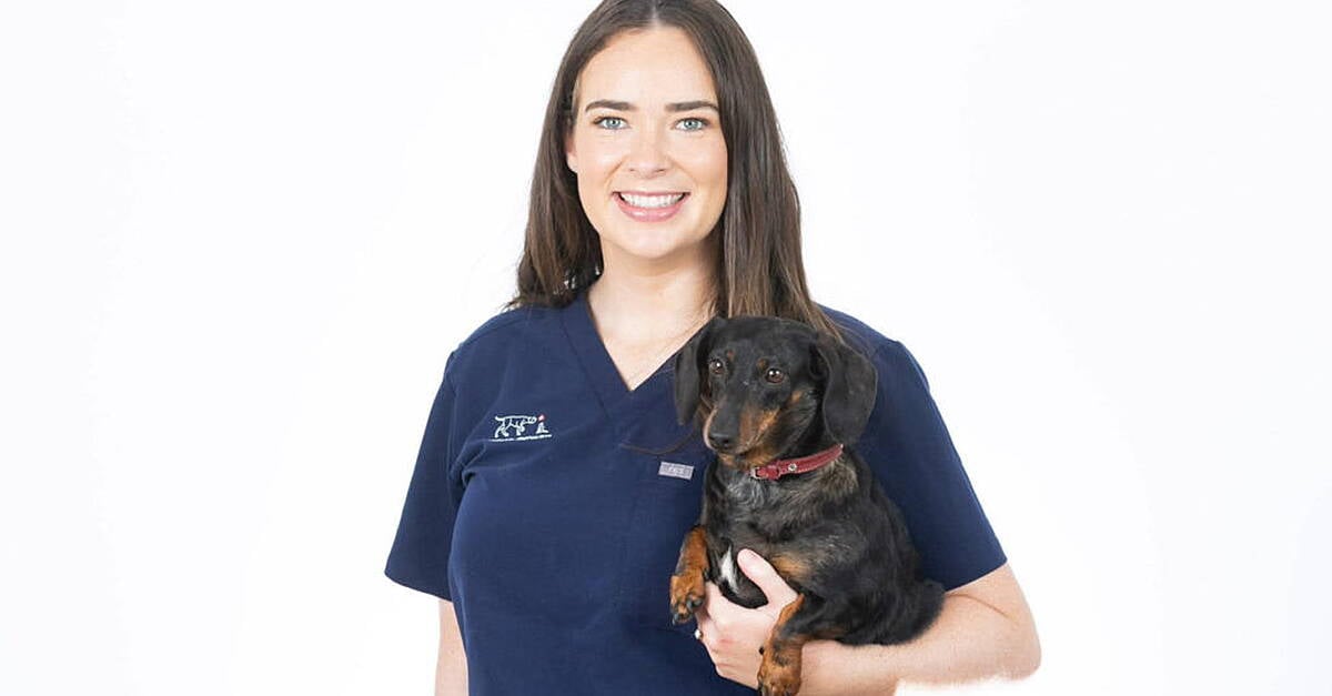 Donegal woman becomes one of Europe’s youngest board-certified veterinary surgeons