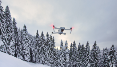Fourteen drone flights over one ice-free point in the South Shetland Islands counted 38,080 chinstrap penguin nests where researchers once tallied nearly 90,000 breeding pairs by hand, meaning more than half the colony has disappeared in roughly three decades
