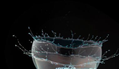 Economists Concerned the AI Bubble Is About to Blow