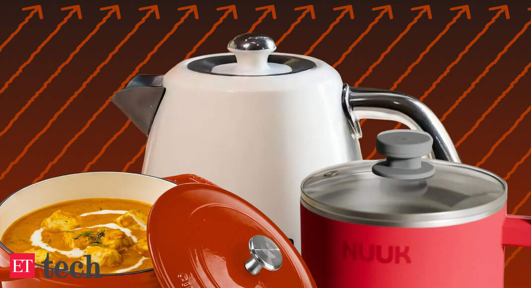 VCs hungry for kitchen startups; Vala Afshar’s blueprint for India’s AI future