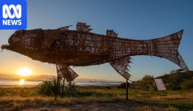 Massive mullet created from 'obnoxious' weed and plastic litter for SWELL Sculpture Festival