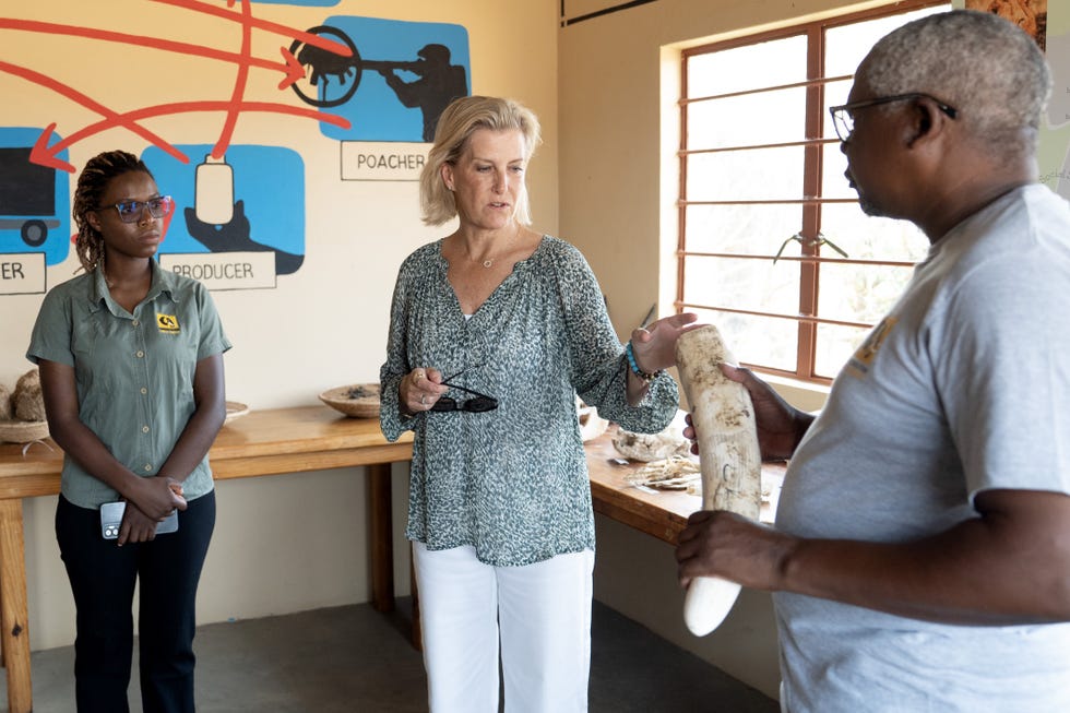 Duchess of Edinburgh visit to Zambia