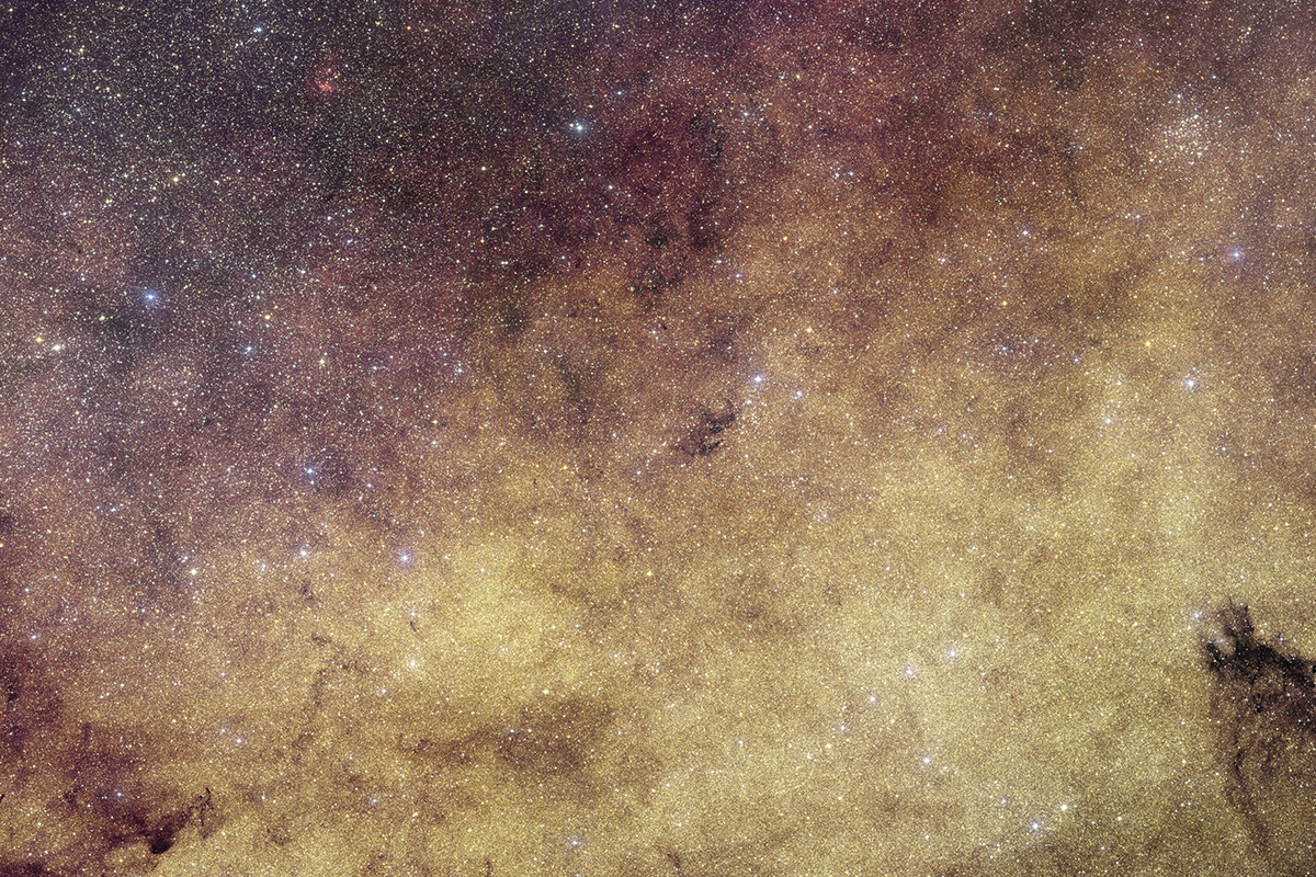Section of a visible-light image of the centre of our Milky Way, by the Euclid space telescope, showing over 60 million stars near the Galaxy's bulge. Credit: ESA/Euclid/Euclid Consortium/NASA, CFHT, image processing by J.-C. Cuillandre and E. Bertin (CEA Paris-Saclay)