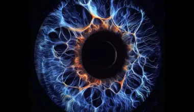 Scientists find a hidden retinal defense against vision loss