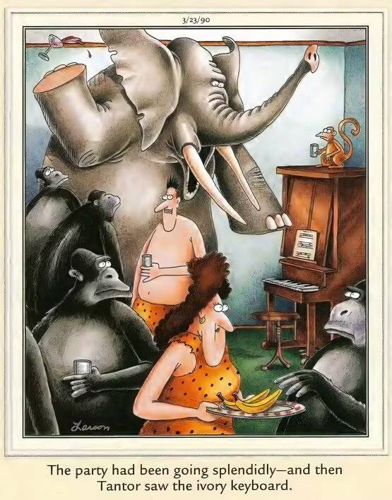 An elephant freaks out at a part over the ivory keys on a piano