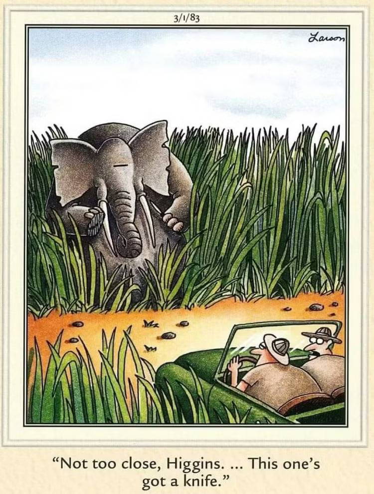 An elephant holds a knife in a Far Side Comic