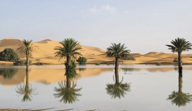 From drought to floods in North Africa: What could the super El Niño do next?