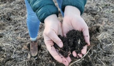 What Wendell Berry meant to Christian farmers going green