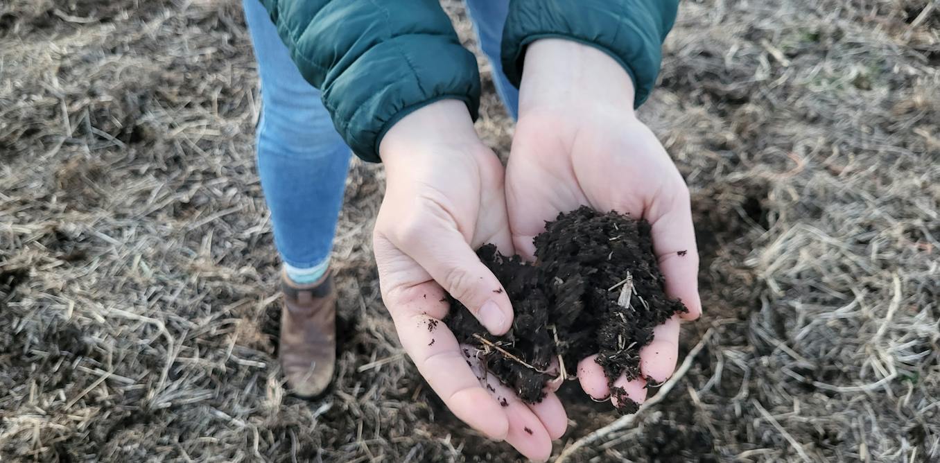What Wendell Berry meant to Christian farmers going green