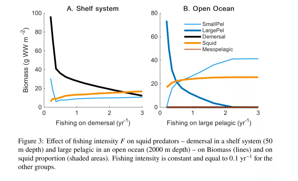 Effect of fishing intensity 𝐹 on squid predators – demersal in a shelf system (50
m depth) and large pelagic in an open ocean (2000 m depth) – on Biomass (lines) and on
squid proportion (shaded areas). Fishing intensity is constant and equal to 0.1 yr−1
for the
other groups.