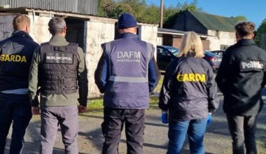Gardaí swoop in Donegal during major horse trafficking probe