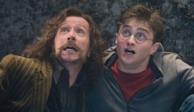 Gary Oldman Says HBO's 'Harry Potter' TV Series Will Be "More Satisfying" Than The Movies
