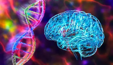 Scientists find a human-only gene that may help explain our brainpower