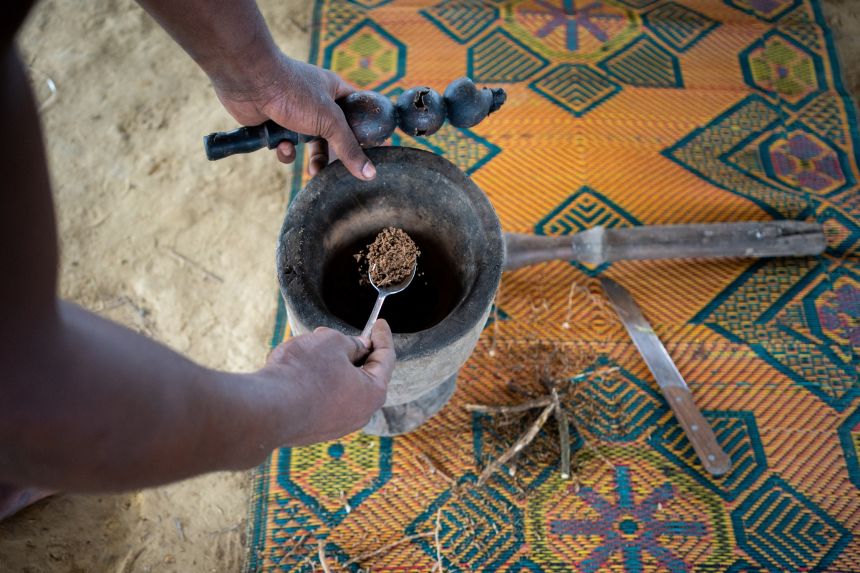 Iboga, the powerful psychoactive root, that has effects similar to LSD, mescaline or amphetamines has long been used by people in Gabon's forests for its sacred and psychotropic properties.