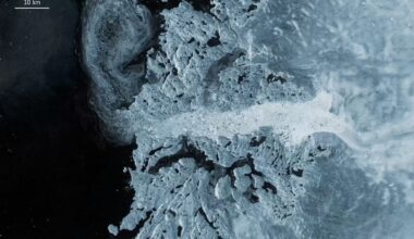 Polar Ice Sheets Have Lost 11 Trillion Tons of Ice—and 'Speeding' Glaciers Are Driving the Loss
