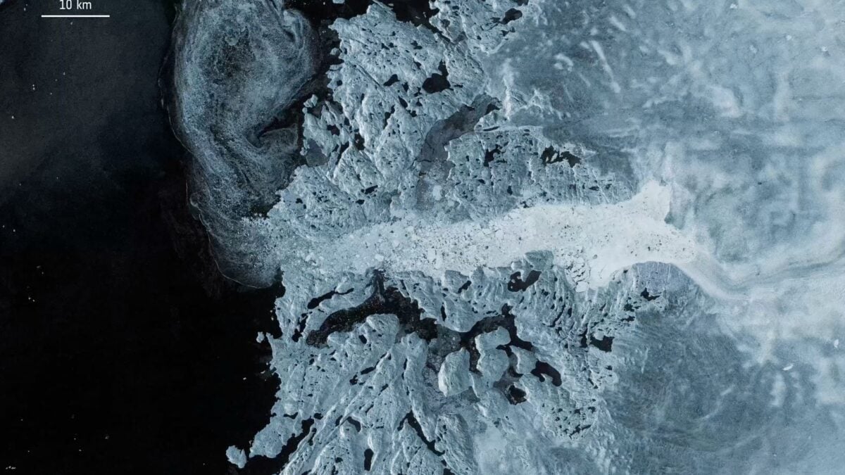 Polar Ice Sheets Have Lost 11 Trillion Tons of Ice—and 'Speeding' Glaciers Are Driving the Loss