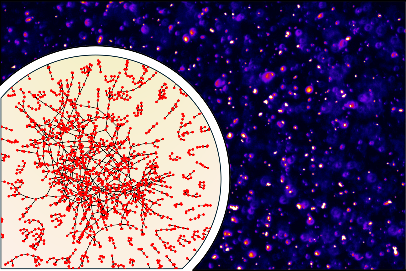 Avoiding a Sticky Situation: How Cells Stop Messenger RNAs From Clumping Together