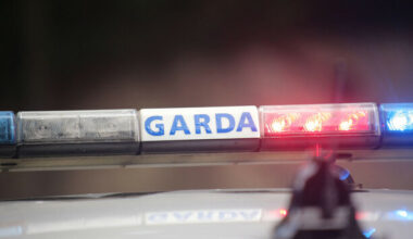 'Guns' removed from car boot by three men in viral video were not real, gardaí say