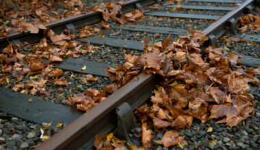 Dublin train timetable revised to account for leaves on the tracks