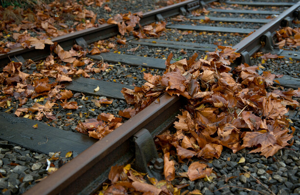 Dublin train timetable revised to account for leaves on the tracks