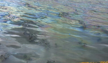 Mitigation measures put in place to contain oil leak at Tolka Estuary in Dublin