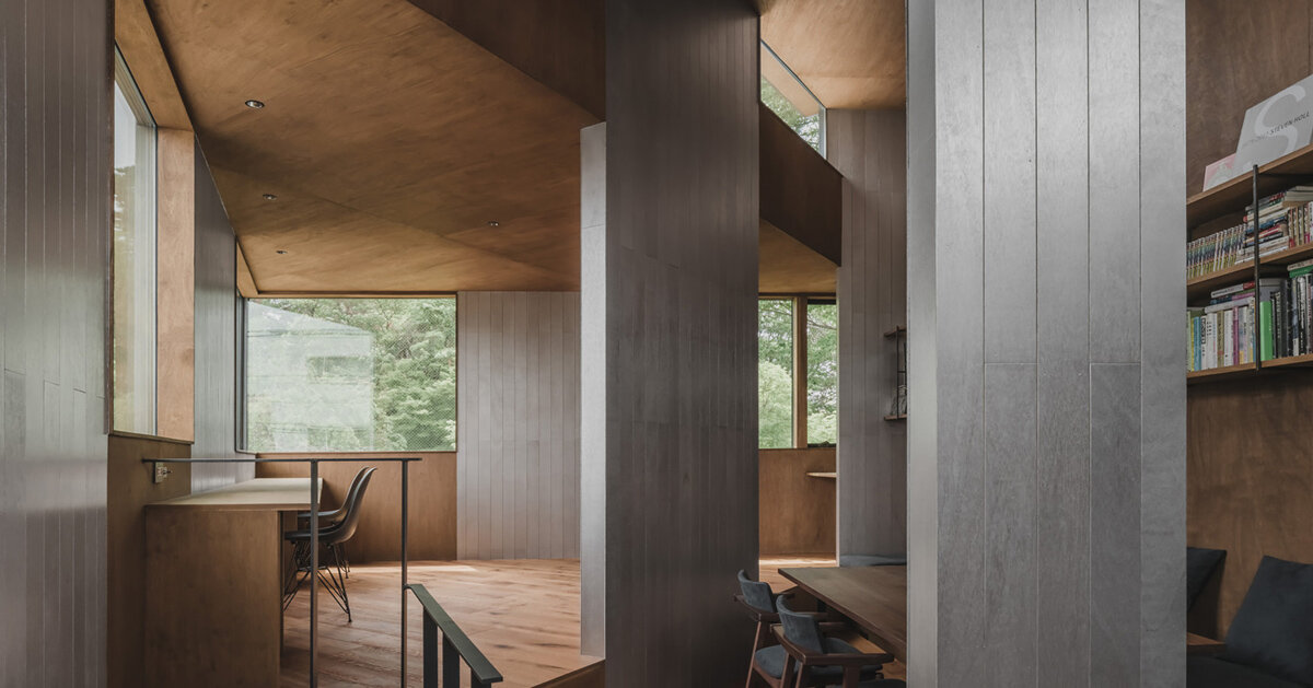 IGArchitects builds tokyo house from field of structural timber walls