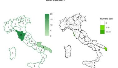 Italy arbovirus update: Dengue, chikungunya and West Nile virus