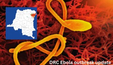 Ebola update: 92 new confirmed cases in the past day