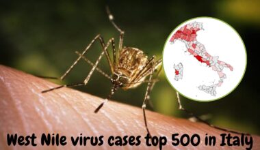 West Nile virus cases top 500 in Italy