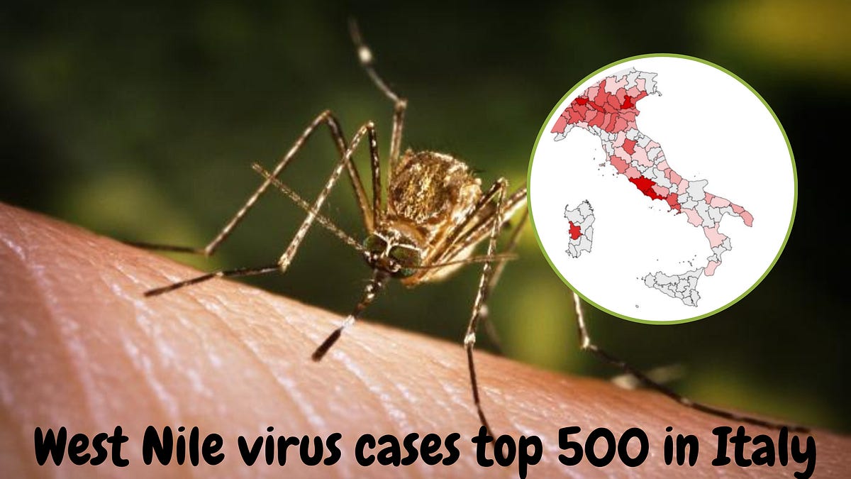 West Nile virus cases top 500 in Italy