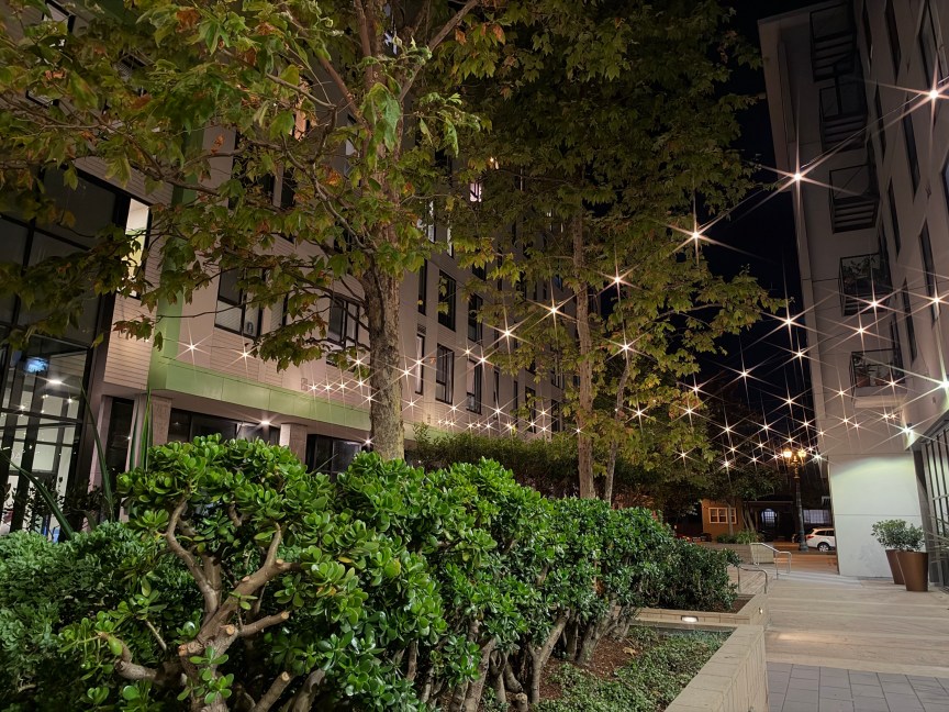 String lights in between trees and buildings, with a starburst effect