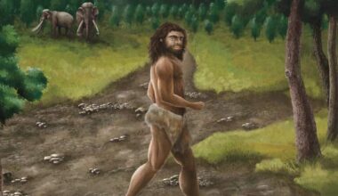 Denisovans Once Roamed Southwest China, New Fossils Reveal