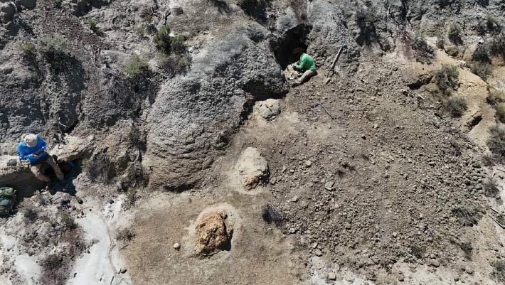 Paleontologists Discover First-Ever Adult Tyrannosaurus rex Trackway