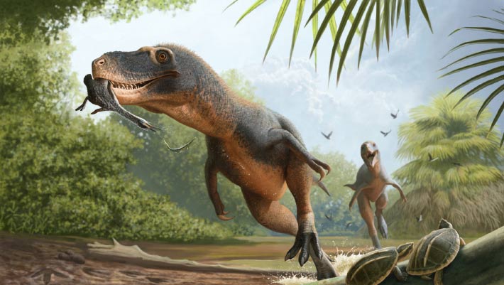 Exceptionally Preserved Bird Feathers Found in 66-Million-Year-Old Dinosaur Coprolite
