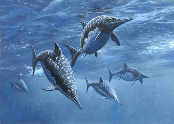 Cryopterygius kristiansenae, a species of ophthalmosaurid ichthyosaur from the Jurassic of Svalbard. Image credit: Esther van Hulsen.