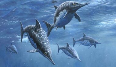 Ichthyosaurs Had Surprisingly Dense Ribs, New Study Finds