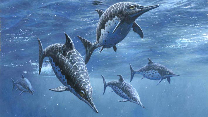Ichthyosaurs Had Surprisingly Dense Ribs, New Study Finds