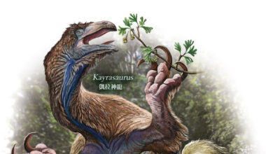 New Therizinosaurian Dinosaur Unearthed in China